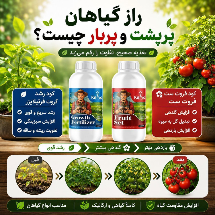 کود محرک رشد ۱ لیتری