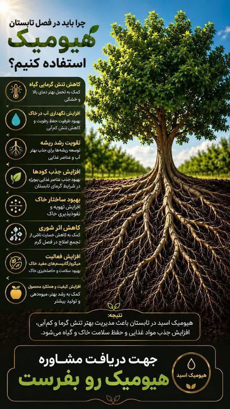 کود مایع هیومیک اسید یک لیتری