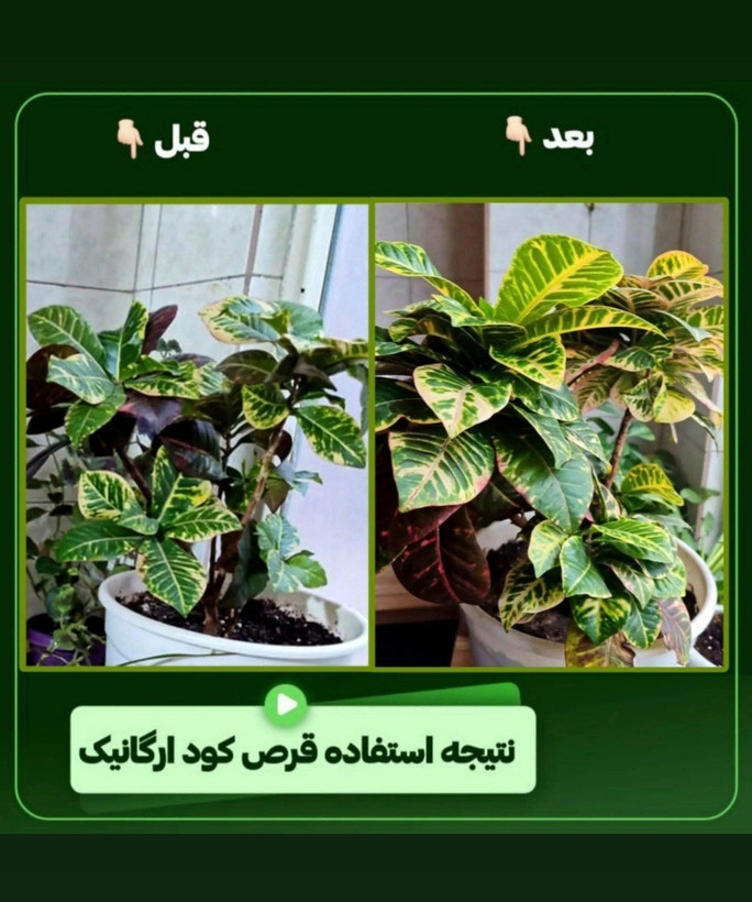قرص کود ۱۲۰ عددی